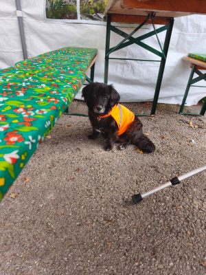 Vereinsfest_2026_46